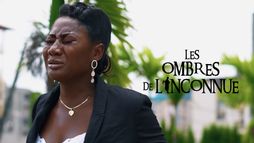 Les ombres de l'inconnue