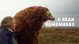 A Bear Remembers