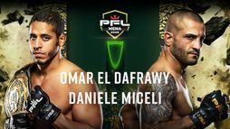 MMA : PFL MENA