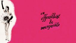 En effeuillant la marguerite