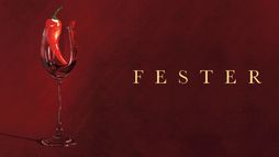Fester