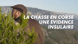 La chasse en Corse, une évidence insulaire