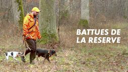 Battue de la réserve