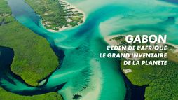 Gabon : L'eden de l'Afrique - Le grand inventaire de la planète