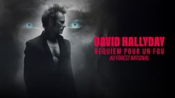 David Hallyday, requiem pour un fou
