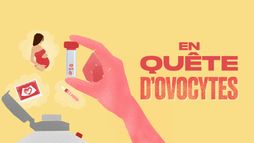 En quête d'ovocytes