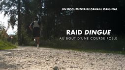 Raid Dingue, Au bout d'une course folle