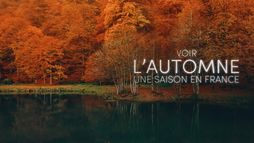Voir l'automne, une saison en France