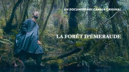La forêt d'émeraude