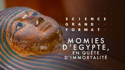 Momies d'Egypte, en quête d'immortalité
