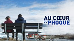 Au coeur du phoque