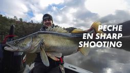 La pêche en sharp shooting