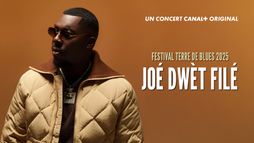 Festival Terre de Blues
