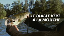 Le diable vert à la mouche