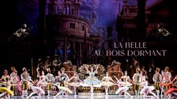 La Belle au bois dormant