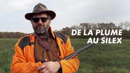 De la plume au silex