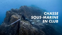 Chasse sous-marine en club