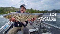 Lot, le grand chelem des cyprinidés