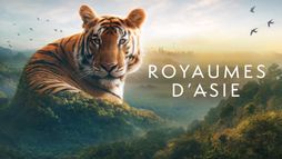 Royaumes d'Asie