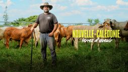 Nouvelle-Calédonie, terres d'avenir