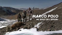 Marco Polo, au bout de l'effort...