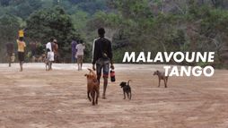 Malavoune tango