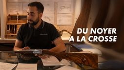 Du noyer à la crosse