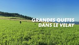 Grandes quêtes dans le Velay