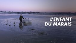 L'enfant du marais