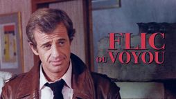 Flic ou voyou