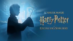 Harry Potter à l'école des sorciers