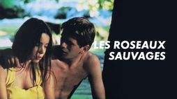Les roseaux sauvages