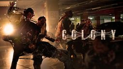 Colony
