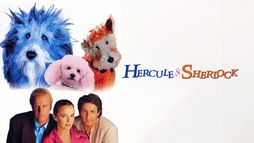 Hercule & Sherlock