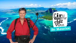J'irai dormir chez vous - Saison 16