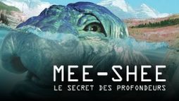 Mee-Shee, le secret des profondeurs