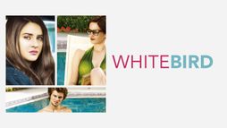 White Bird