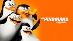 Les pingouins de Madagascar