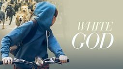 White God