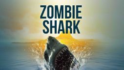 Zombie Shark
