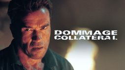 Dommage collatéral