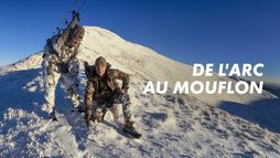 De l'arc au mouflon