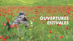 Ouvertures estivales