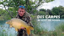 Des carpes au bout des doigts
