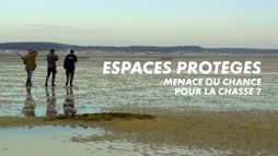 Espaces protégés : menace ou chance pour la chasse ?
