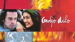 Gadjo dilo