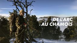 De l'arc au chamois