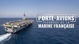 Porte-avions, fleurons de la marine française