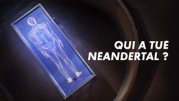 Qui a tué Néandertal ?