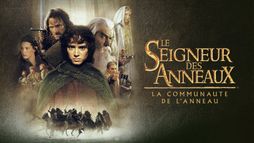 Le seigneur des anneaux : la communauté de l'anneau